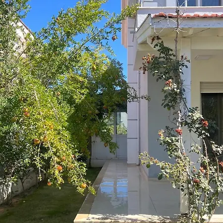 The Aesthetic Aegean Villa Cesme